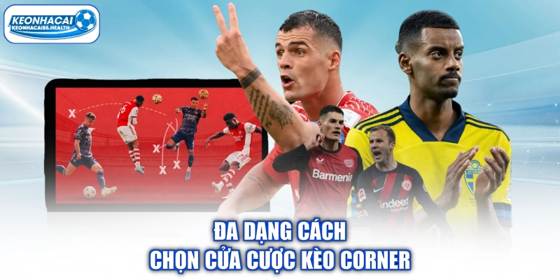 Đa dạng cách chọn góc đánh số 