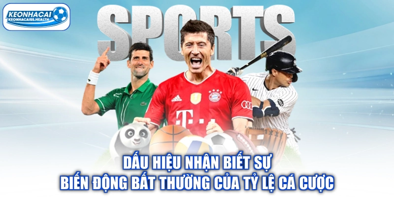 Dấu hiệu nhận biết mức độ biến động bất thường của tỷ lệ đánh giá