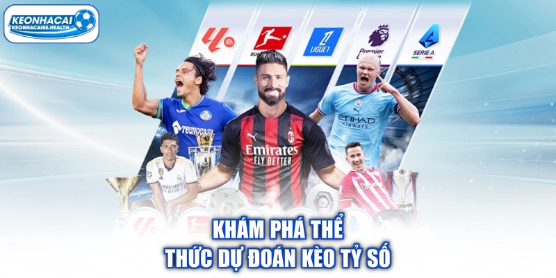 Khám phá tỷ lệ dự đoán 