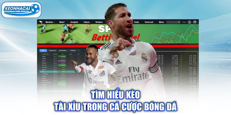Tìm hiểu tài nguyên trong bóng đá