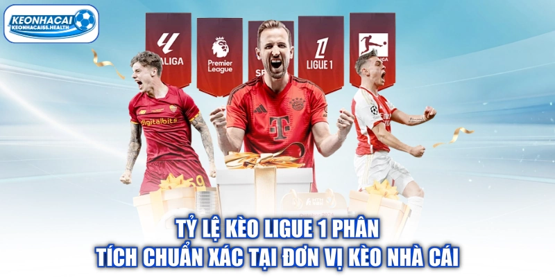 Tỷ Lệ Kèo Ligue 1 Phân Tích Chuẩn Xác Tại Đơn Vị Kèo Nhà Cái